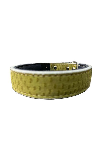 Glipet Green Colored Nubuck Leather Supported Soft Texture Collar 2.5x45 Cm