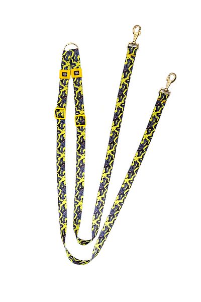 Pet Trendy Shop Hands Free Multifunctional Dog Walking Collar/Provice Strap