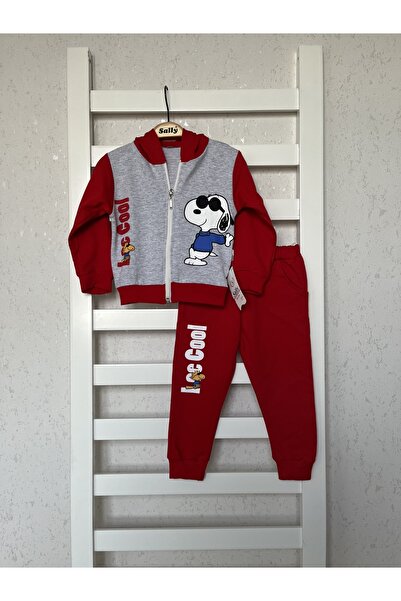 sally baby 2 Thread Seasonal Hooded, Zippered Bottom and Top Set. Tracksuit Set