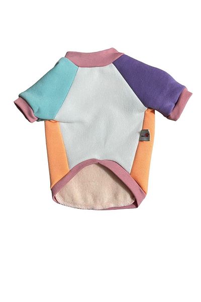 Barneystore Cat Dog Colorful Sweat