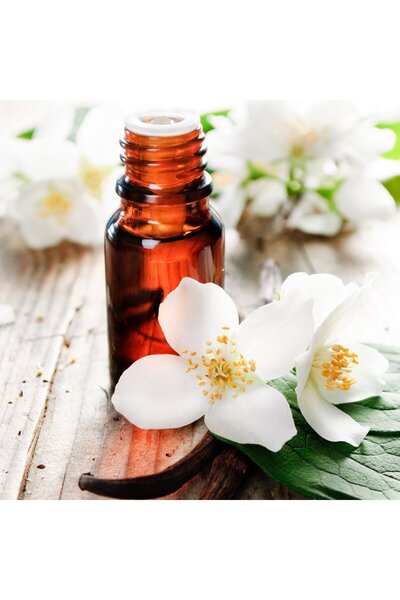 Dünya Magnet Kandillo, Vanilya Mum Esansı, Mum Kokusu, Soya Wax Esansı, Buğurdanlık Yağı, Kurutma Topu Kokusu