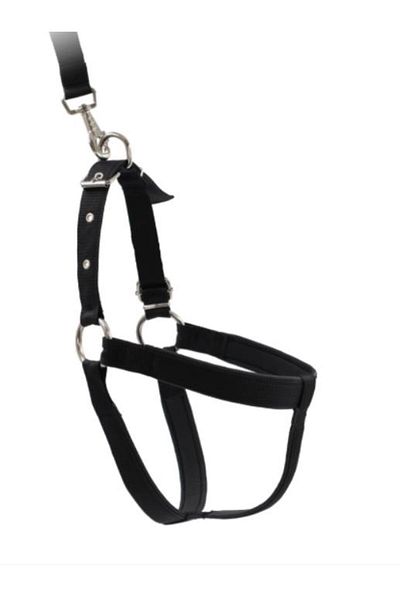 Glipet Dog Chest Collar Set Soft Textured Backing Black Color 2cm