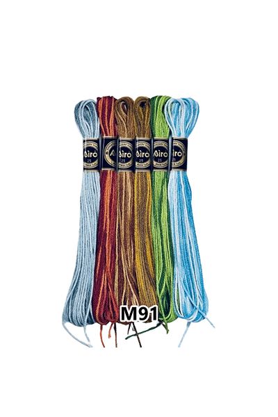 EleganTShoP Airo Muline Ebr-Sim Etamine Cotton Embroidery Thread Thread Set of 6