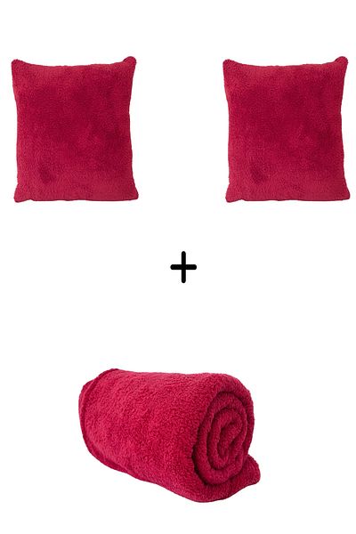 Skhome Wellsoft Single TV Blanket and 2 Throw Pillow Covers (2k1btny-03-Burgundy)