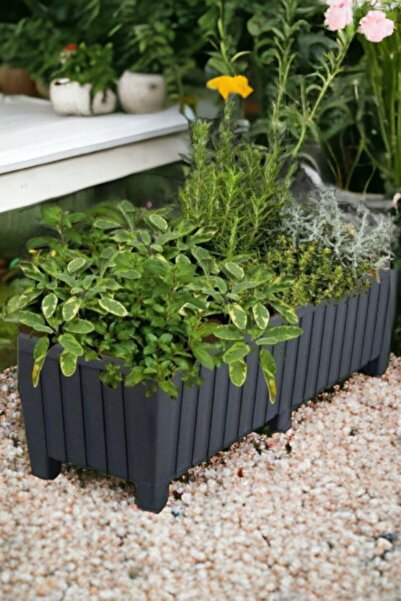 Melkan Home Dekoratif Balkon Saksısı 6 Ayaklı Büyük Balkon Saksı 50 Litre 87 Cm Siyah Balkon Saksı Bahçe Saksı