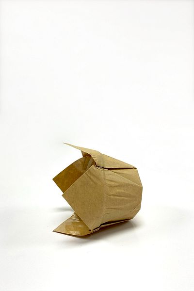 Trend Hediye Sepeti 50 Pieces Thick Tulip Capsule Kraft Muffin Cake Mold, Oil Paper Tulip Inside, Safari Concept