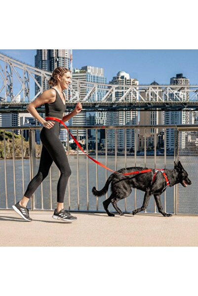 Ezydog Road Runner Leash - Siyah