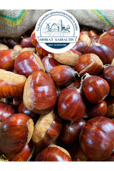 Demirciköy Çiftlik Simav Kestanesi Jumbo Boy 1000 Gram