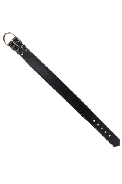 Glipet Black Leather Supported and Soft Textured Collar 3X60 cm