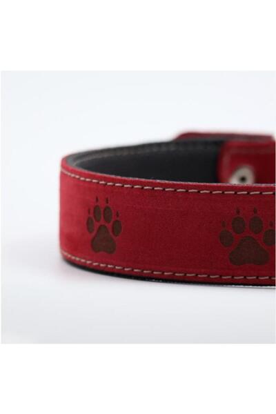 Glipet Pati Desenli Bordo Renkli Deri Yumuşak dokulu Köpek boyun Tasması 3x60 Cm