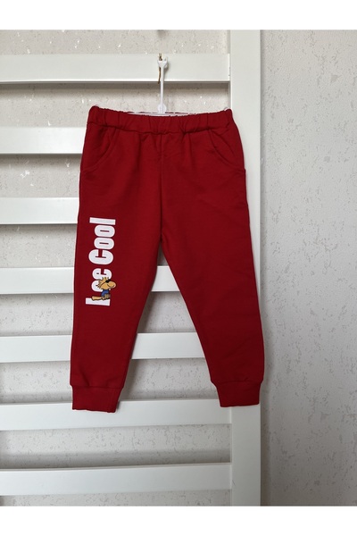 sally baby 2 Thread Seasonal Hooded, Zippered Bottom and Top Set. Tracksuit Set