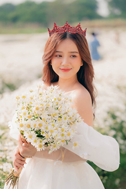 Limelia تاج الأميرة الزفاف اللامع مع أحجار الكريستال تاج الملكة لليلة الحناء ...