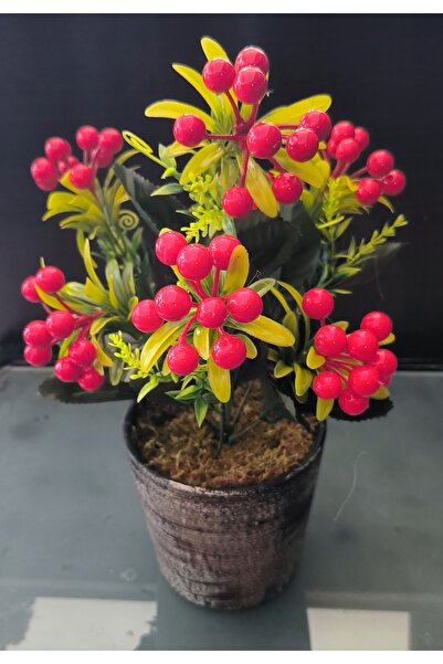 RUZGARCİCEK Kokina în ghiveci ceramic - Florărie artificială Wind