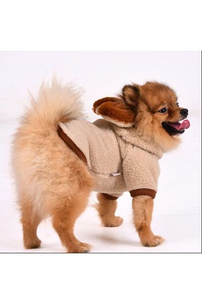 GedyCo Beige Premium Plush Small Breed Dog Sweatshirt (suitable for dogs from 2 kg to 8 kg)