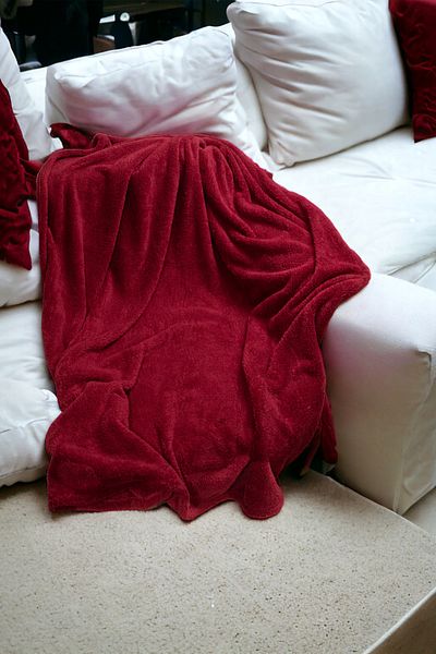 Skhome Wellsoft Single TV Blanket (btnytv-03-Burgundy)