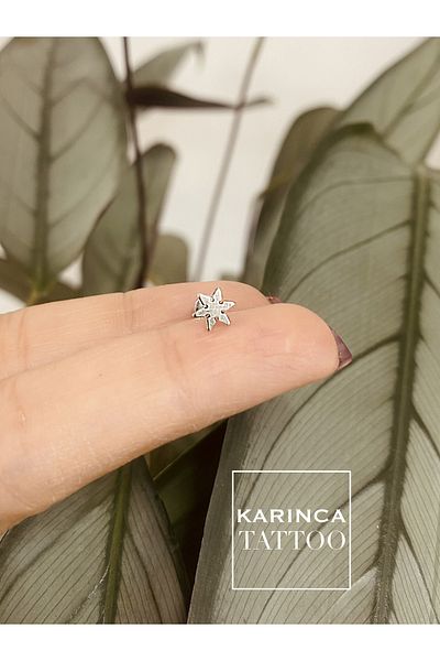 Karınca Piercing Snowflake Small Exquisite Flat Conch Forward Helix Cartilage Tragus Piercing Earrings