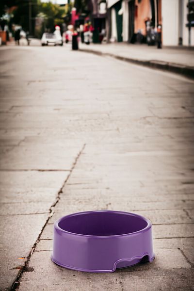 Comprox 350 ML Practical Use PURPLE Mantus14 Cat, dog Food and Water Bowl - 4 Colors