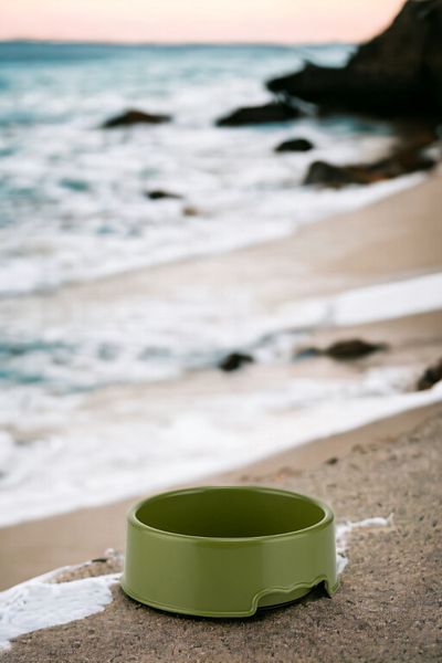 Comprox 350 ML Practical Use GREEN Mantus14 Cat, Dog Food and Water Bowl - 4 Colors,
