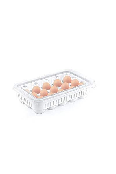 ÖZ HOUSE Egg Organizer with Lid 15 Li Egg Storage Container Hobby Life