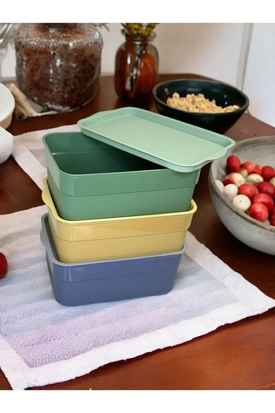 LEON LİFE Leon Life 3 Pieces 2.3 Liter Storage Mix Closet Organizer Box with Lid - Clothing Socks Storage Box