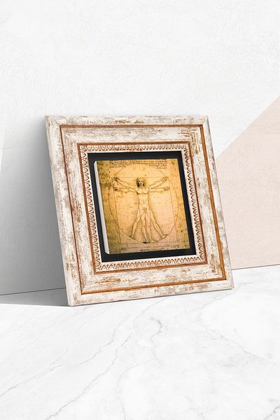 Pinecone Leonardo Da Vinci Vitruvian Man Stone Wall Painting Framed Wall Decor Wall Art