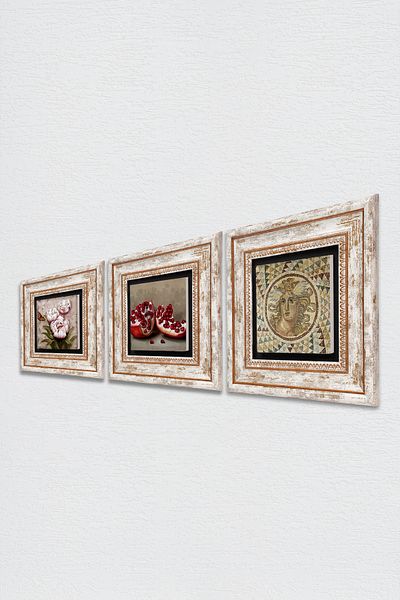Pinecone Mosaic Series, Butterfly Flower, Pomegranate Stone Wall Painting Framed Wall Decor Set of 3 Paintings Tk3-1220