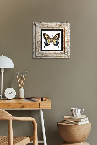 Pinecone Pictură de perete cu piatră de fluture Decorație de perete înrămată Tk1-219
