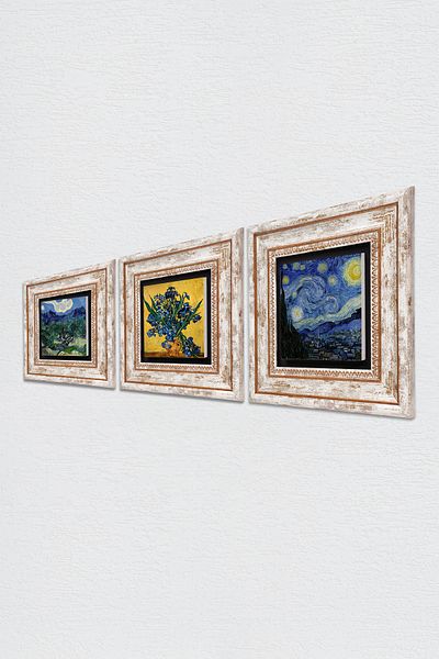 Pinecone Van Gogh Olive Trees, Irises, Starry Night Stone Wall Painting Framed Wall Decor 3 Piece Painting