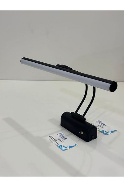 DNC LIGHTING SWITCHED 35 CM BLACK CASE WHITE LIGHT ELECTRIC BATHROOM WALL MIRROR TABLE LIGHTING FLUTE SWAN SCONCE