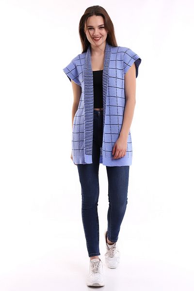 LEBUAS Blue Striped Knitwear Vest