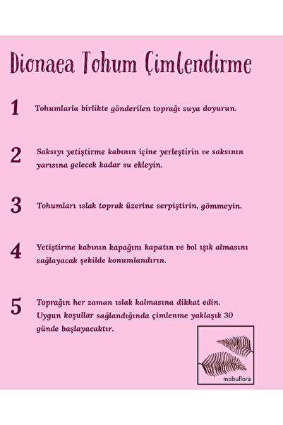 mobuflora Dionaea muscipula Tohum Yetiştirme Kiti Sinek Kapan Etobur Bitki 10 Adet Tohum