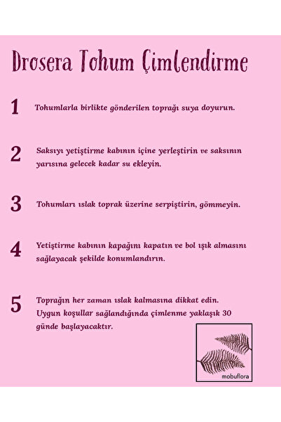 mobuflora Drosera Nidiformis Tohum Yetiştirme Kiti Etobur Bitki