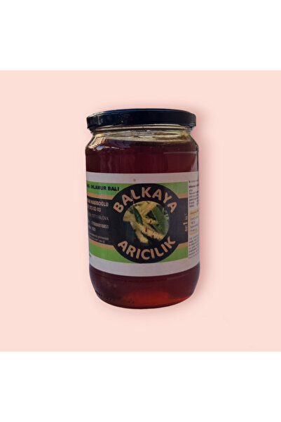 BALKAYA ARICILIK YALOVA KESTANE BALI 1 KG