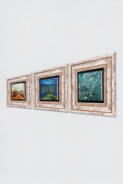 Pinecone Van Gogh Stone Wall Painting Framed Wall Decor 3 Piece Painting Set Wall Art Tk3-507