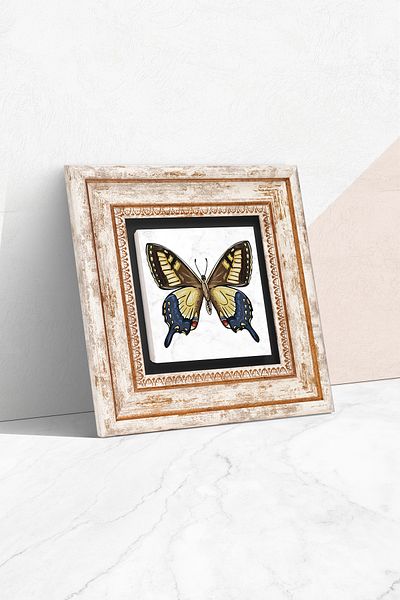 Pinecone Pictură de perete cu piatră de fluture Decorație de perete înrămată Tk1-219