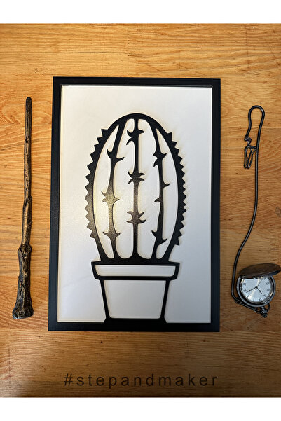 Step and Maker Çift Katmanlı (3D) 'Saksıda Kaktüs' Tablosu