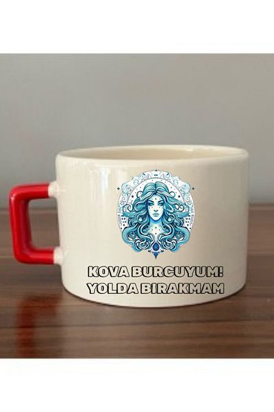 lili hediyelik Aquarius Printed Cup Ceramic Mug - Ceramic Tea, Coffee Gift Cup