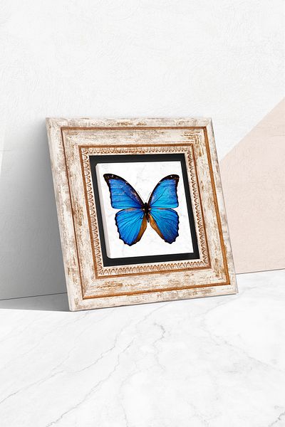 Pinecone Pictură de perete cu piatră de fluture Decorație de perete înrămată Tk1-218