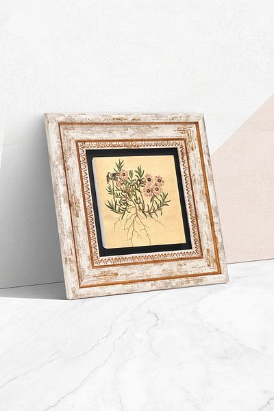Pinecone Vintage ζωγραφική τοίχου με πέτρα λουλουδιών με κορνίζα διακόσμηση τοίχου Wall Art Tk1-221