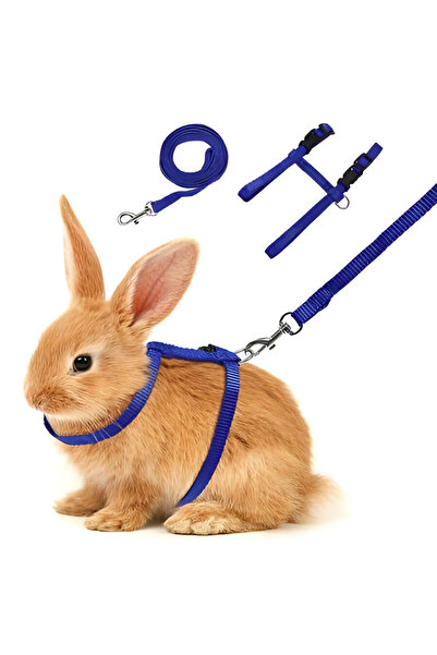 hebmeyy Tavşan göğüs tasması, tavşan gezdirme tasması, tavşan tasması