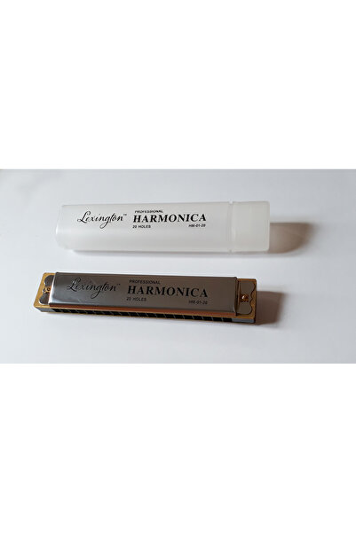 Genel Markalar MIZIKA 20 DELİK PROFESSIONAL HARMONICA