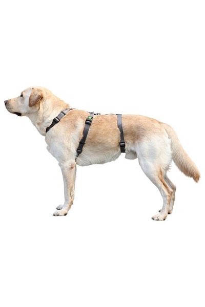 KERBL Dog Back Collar Anti-Escape 64cm - 100cm
