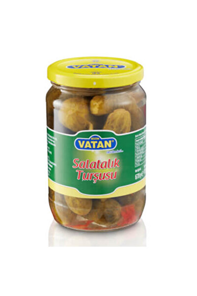 Vatan Salatalık Turşusu 670 Gr