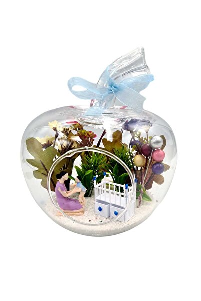 maya sanat Newborn Baby Boy Gift Terrarium Special Production Apple Glass Jar