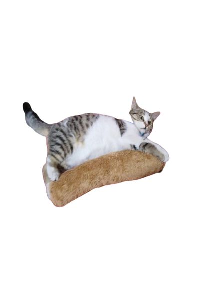 TİNEKE Cat Toy Hugging Pillow Sleep Toy with Cat Herb 30 Cm Plush (1 Piece) Brown