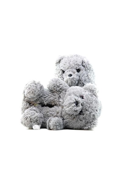 Twigy Papuci animale pentru femei Teddy (36-41) 22k T-teddy Z
