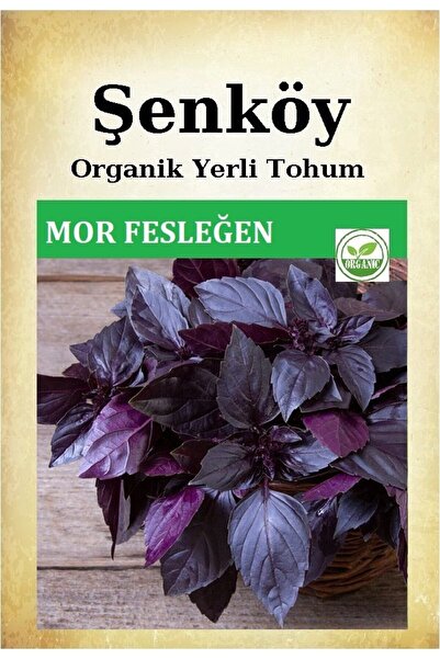 Şenköy Yerli Mor Fesleğen Tohumu Doğal Ata Mor Reyhan Tohumu Pakette 2 Gr 700...