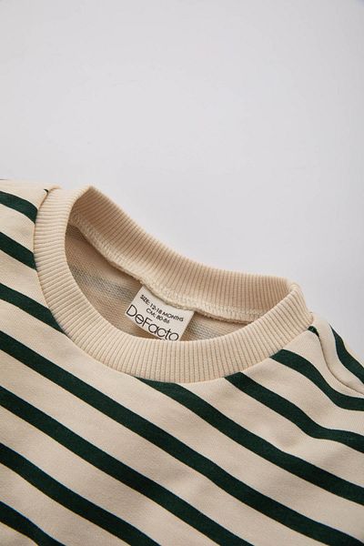 DeFacto Baby Boy Crew Neck Striped Sweatshirt C2493a524sp