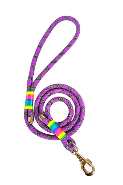 Pet Trendy Shop حزام مشي للكلاب، مقود شحن 130 سم × 1.2 سم