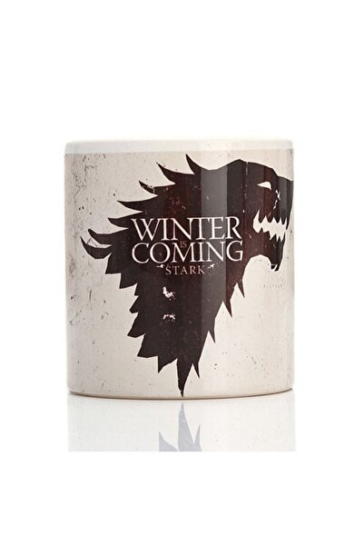 ART HEDİYE Sukulent Kaktüs Saksısı Kalemlik